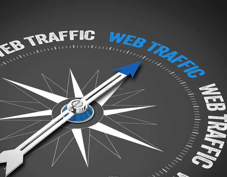 Web Traffic SEO