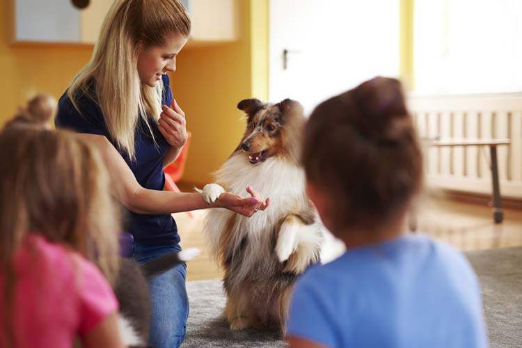 Perros Terapeutas en Entornos Educativos