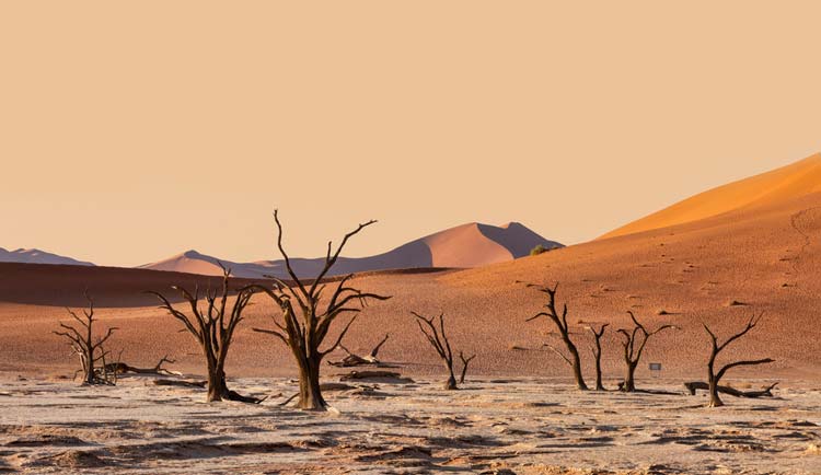 Cambio Climatico Africa