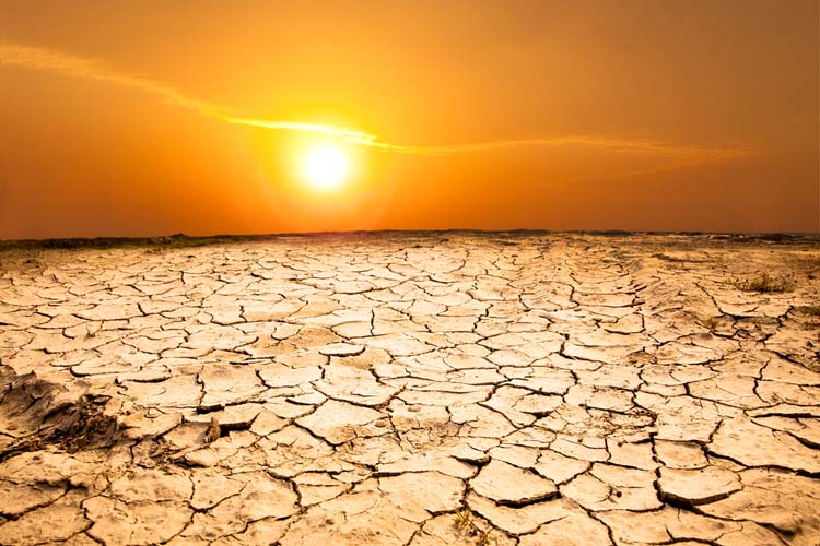 Desertizacion Calentamiento Global