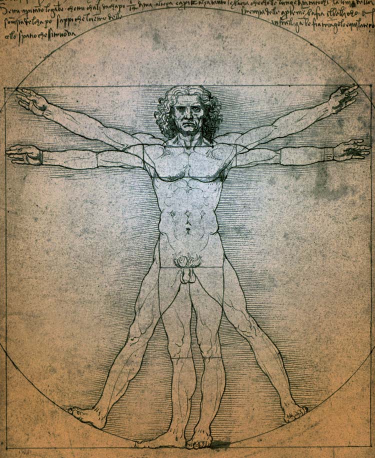 El Hombre Vitruvio Leonardo da Vinci, Venecia