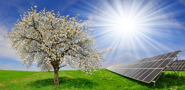 Energia Solar Renovable