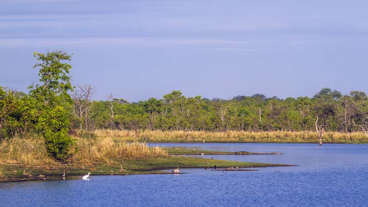 Lagos Parque Nacional Kruger
