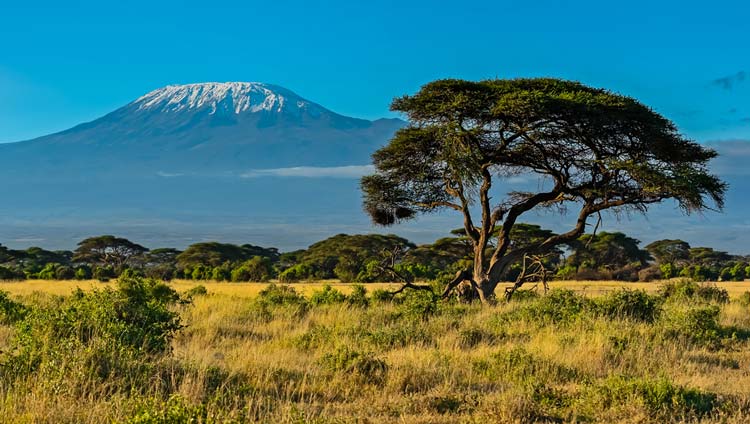 Monte Kilimanjaro, África, el más alto del Continente
