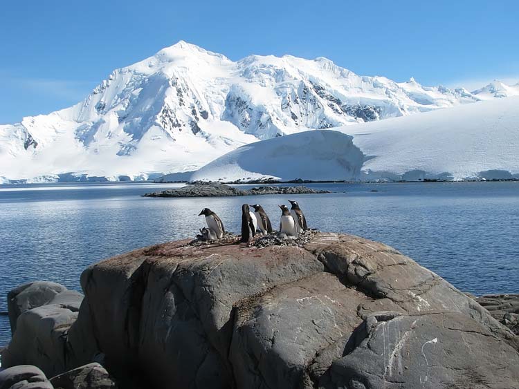 Monte Vinson Antártida
