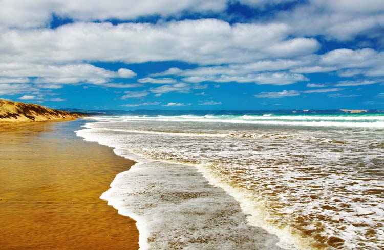 Ninety Mile Beach Playa Nueva Zelanda