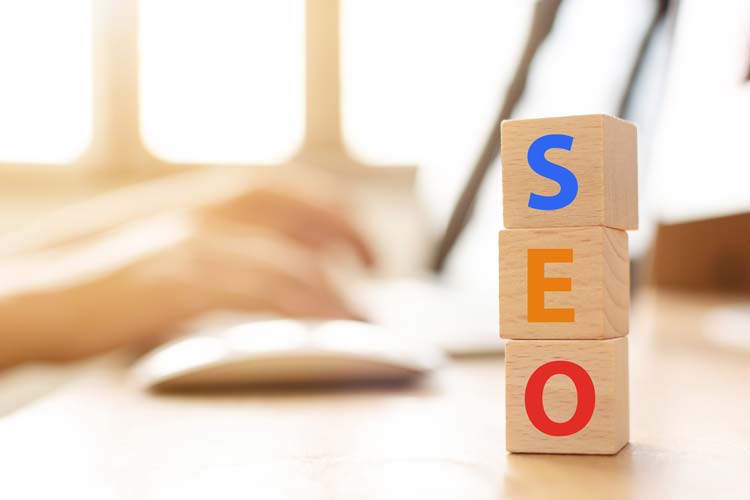 experto seo marketing