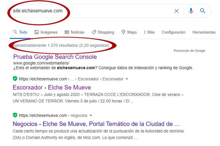 site elchesemueve resultados busqueda google