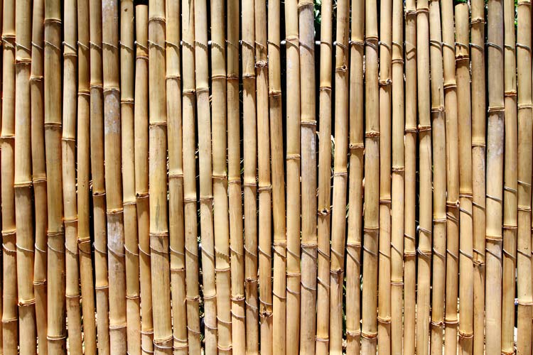 Cañizo Bambú Cerramiento