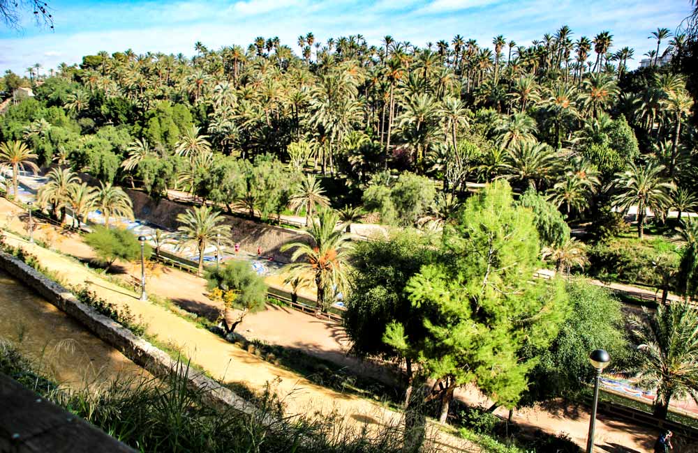 Spanische Palmenoase: Rundgang Durch Palmengärten Von Elche