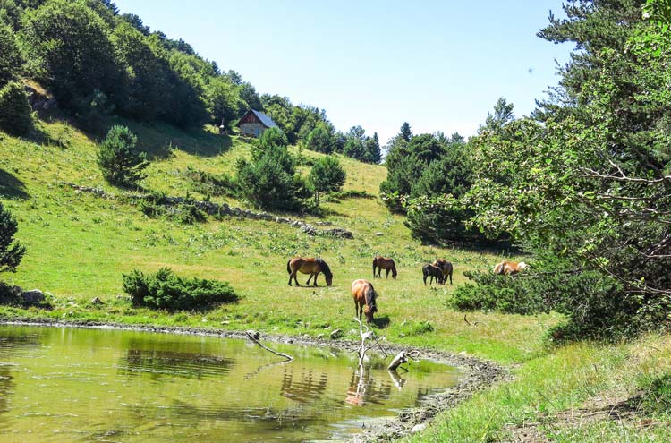 Pirineos Catalanes