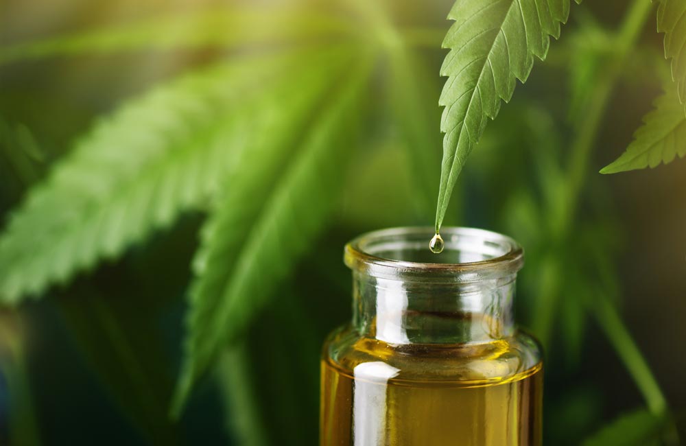 CBD: ¿Una solución para el bienestar o una tendencia pasajera?