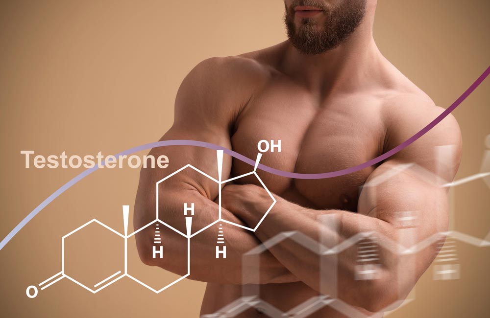 ¿Qué es la Testosterona y Cómo Funciona?