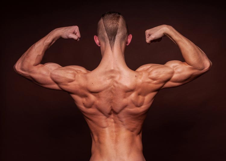 Trembolona Mejora Aspecto Físico Trembolona Mejora Aspecto Físico