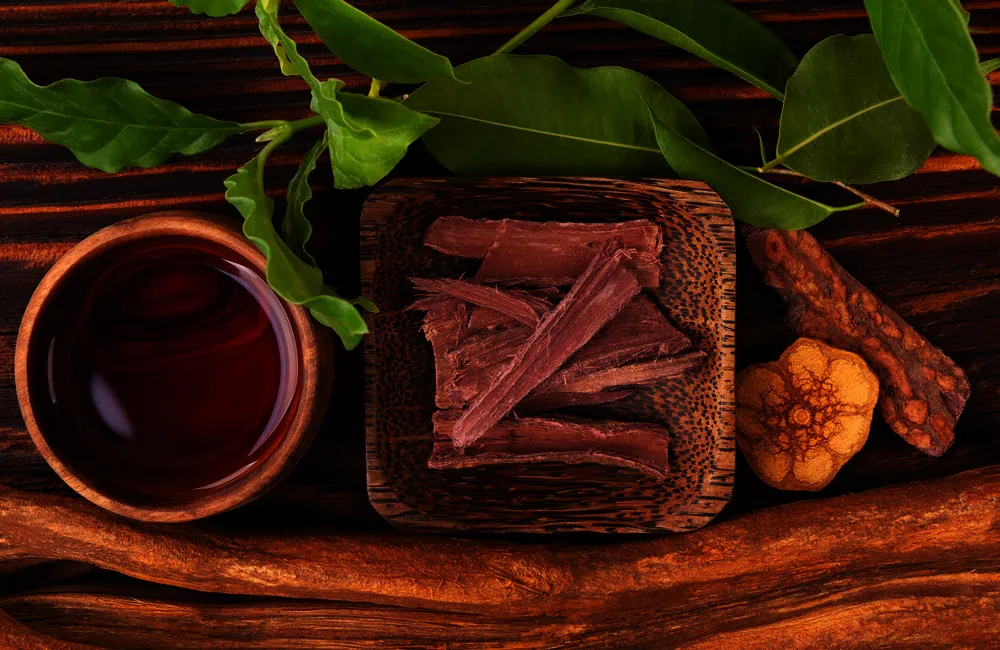 Ayahuasca: el ritual amazónico milenario que busca la expansión de la conciencia