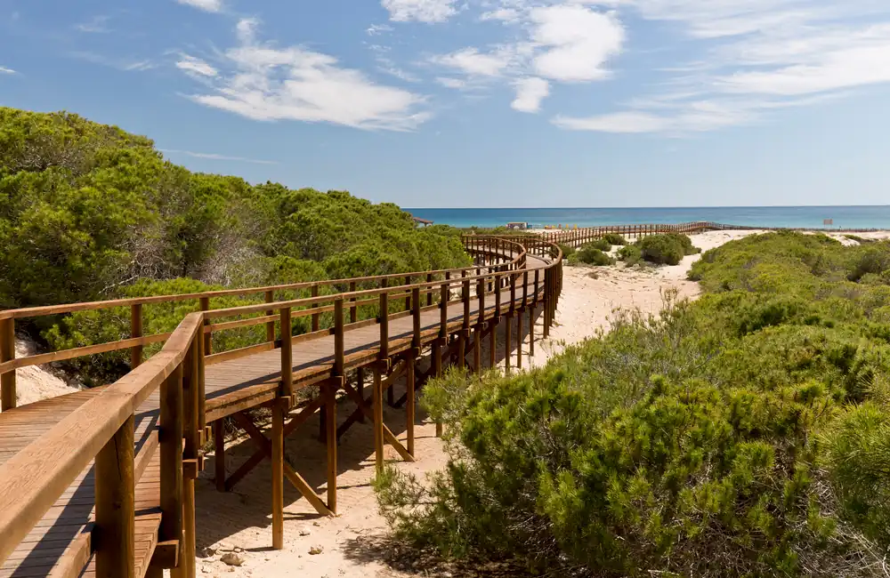 Clot de Galvany: El Tesoro Ecológico e Histórico de Elche