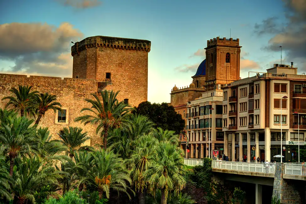 Palmeral de Elche y el centro histórico de Elche