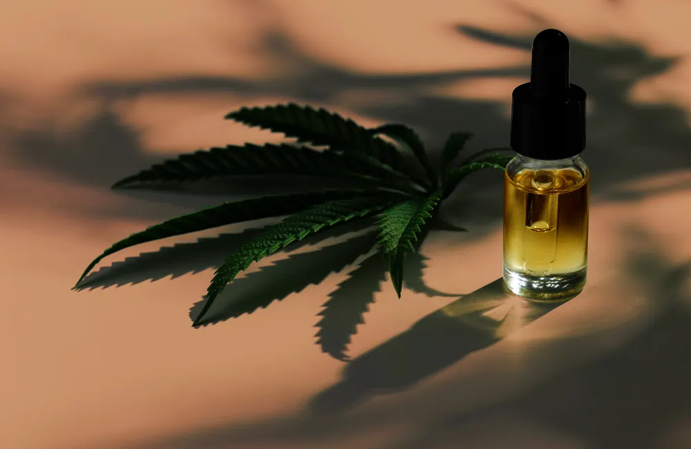 Hash CBD: qué es, para qué sirve y cómo elegir un producto de calidad