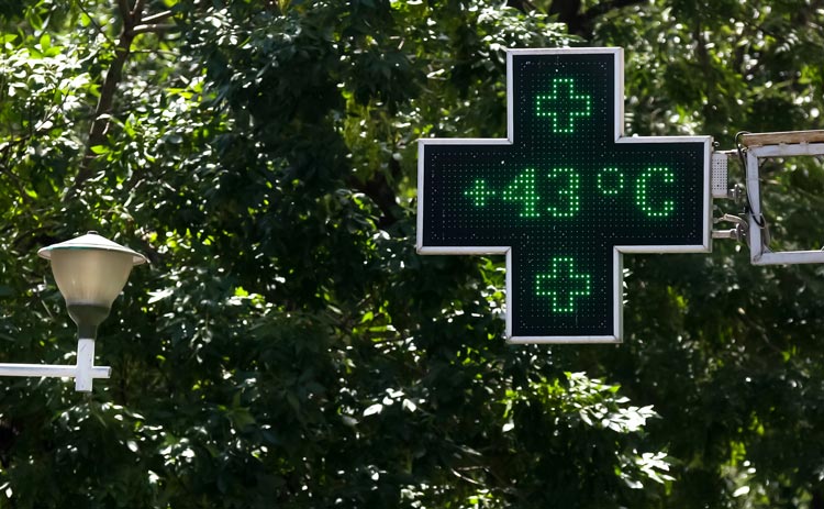 Elche y las Olas de Calor