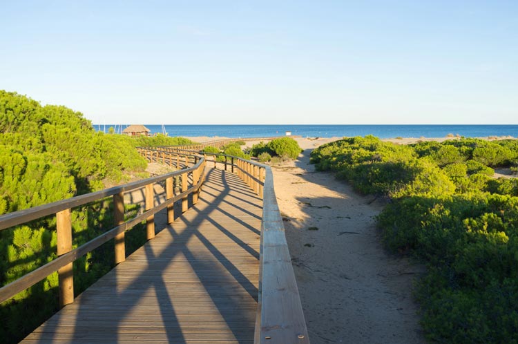 Playa del Carabassí Elche