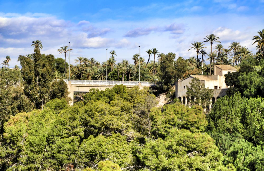 El Palmeral de Elche inspira una vuelta al papel