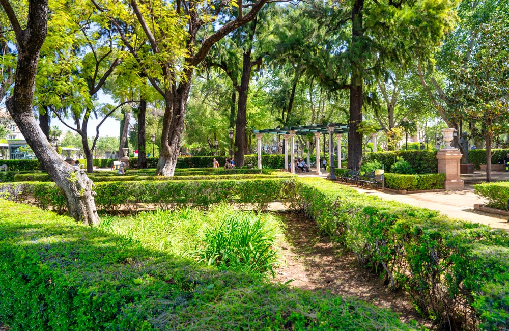 Urban Green Spaces and Health in Elche