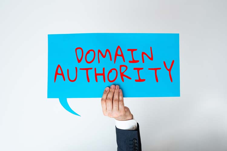Domain Authority Historia de Google