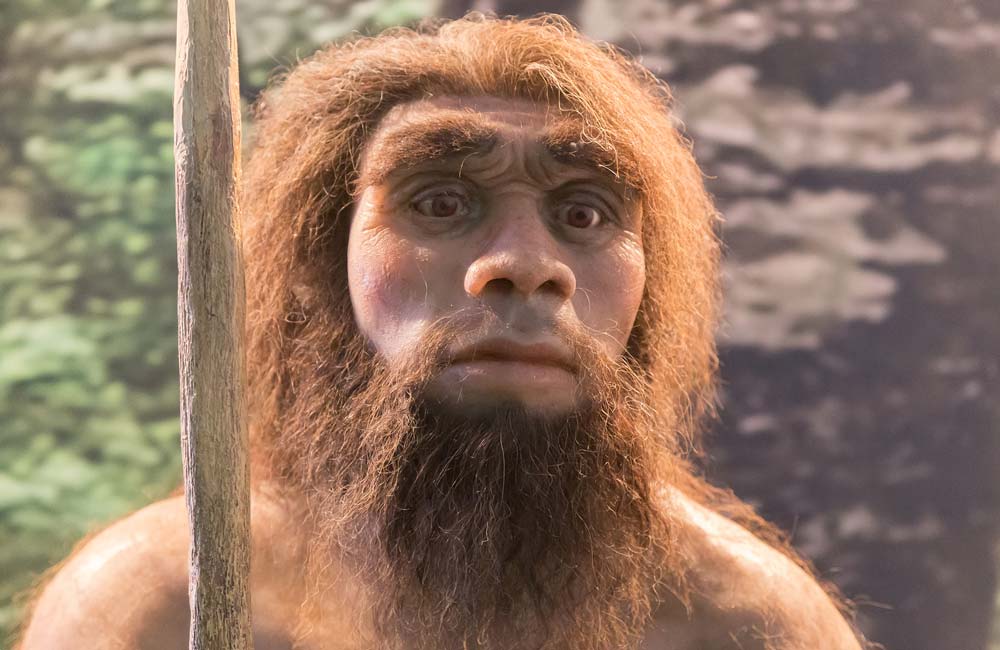 Neandertales: Descripción, Hechos importantes y Sitios Arqueológicos