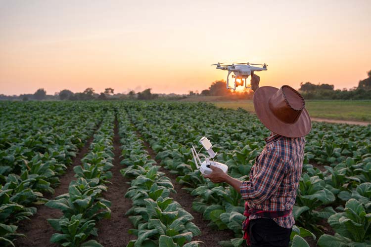 Drones de Inteligencia Artificial Agricultura