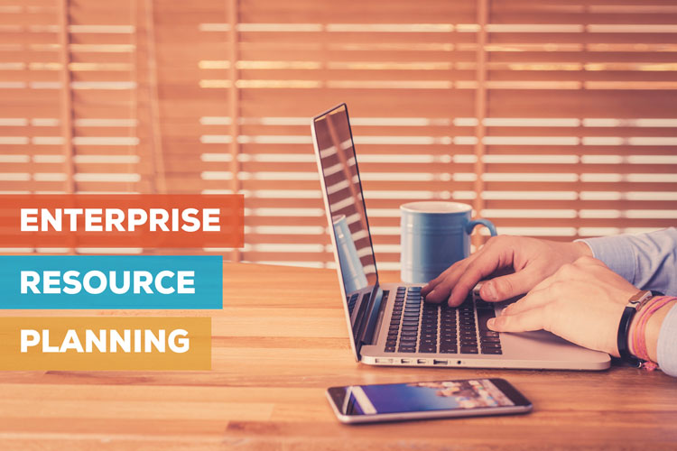 ERP Enterprise Resource Planning