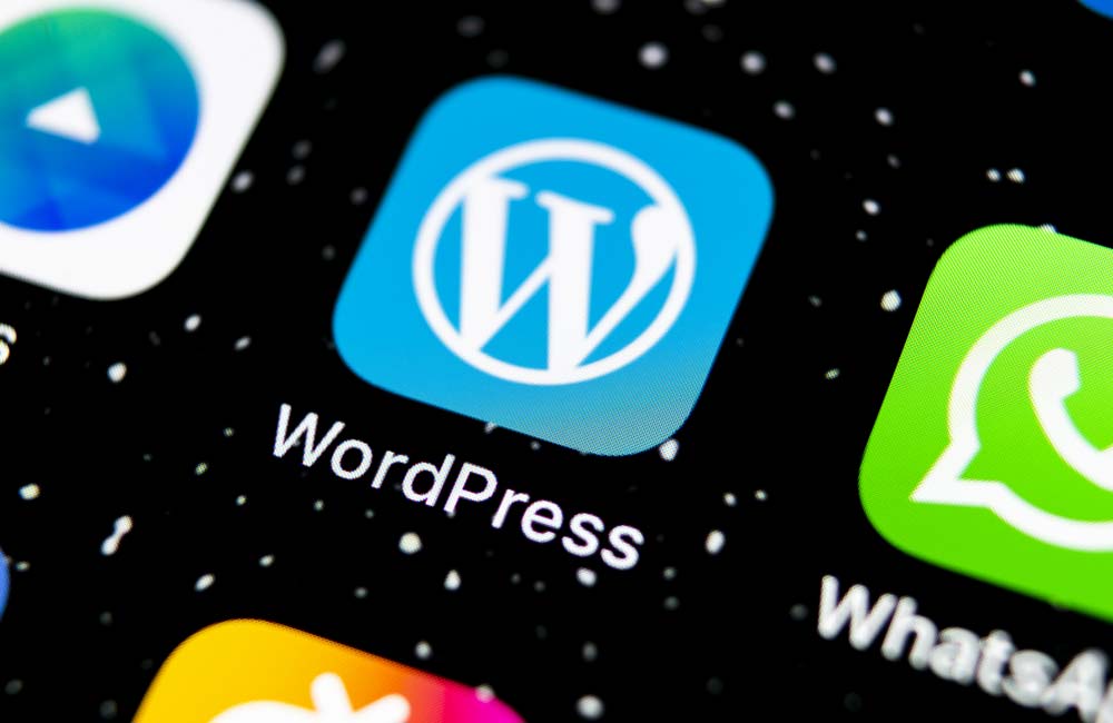 Hosting WordPress Webempresa: Descubre el Alojamiento Web más utilizado en España