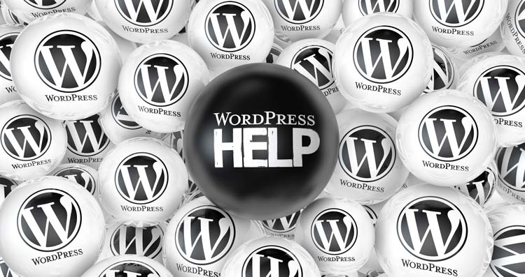 Seguridad WordPress Webempresa