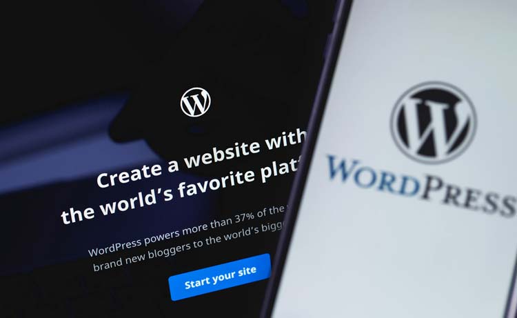 Webempresa WordPress Hosting Web