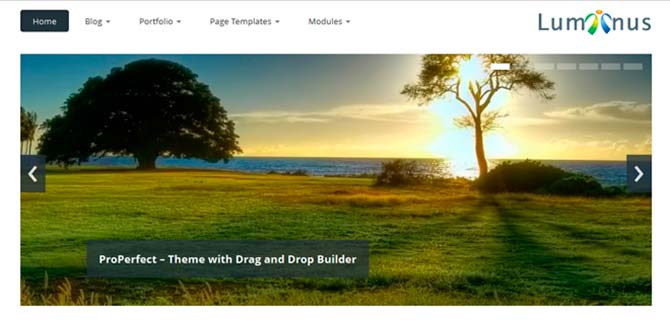 Luminus Responsive Web Theme WordPress