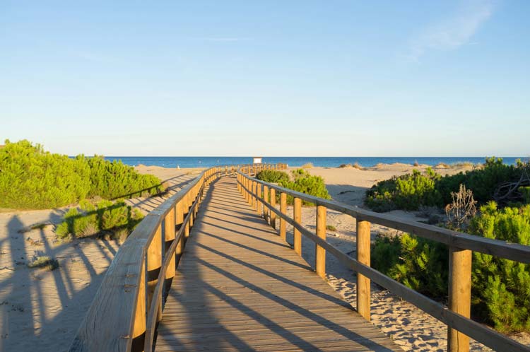 Arenales del Sol Playa Elche