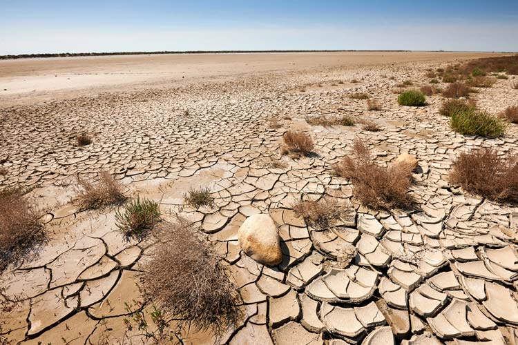 Cambio Climático Desertificación