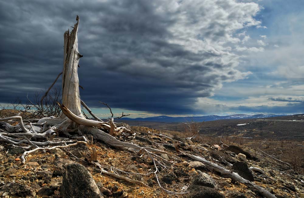 Qué es el Cambio Climático