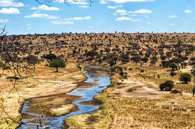 Río Mara a su paso por Tanzania