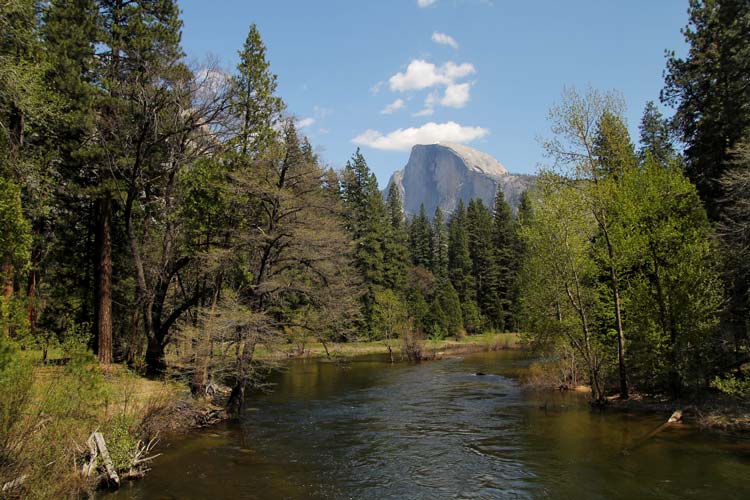 Rio Merced, Yosemite