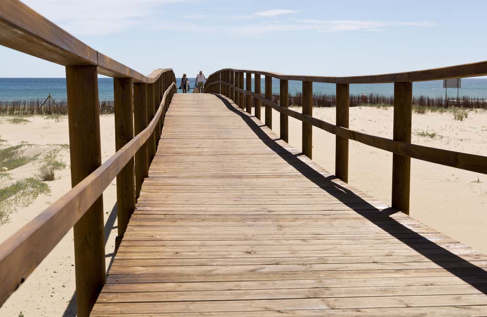Descubre las 6 Playas de Elche: Un Paraíso Natural en la Costa Blanca