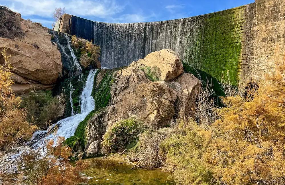 Descubre los paisajes, senderos y experiencias únicas que ofrecen los parques naturales de Elche