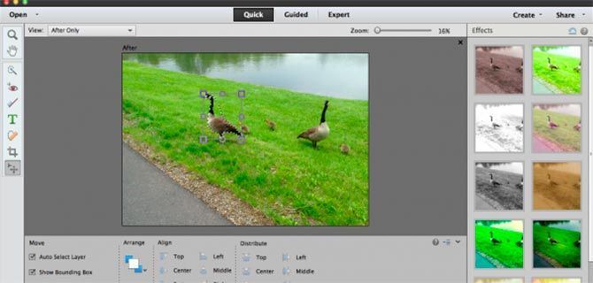 Photoshop Elements Editor de Imágenes