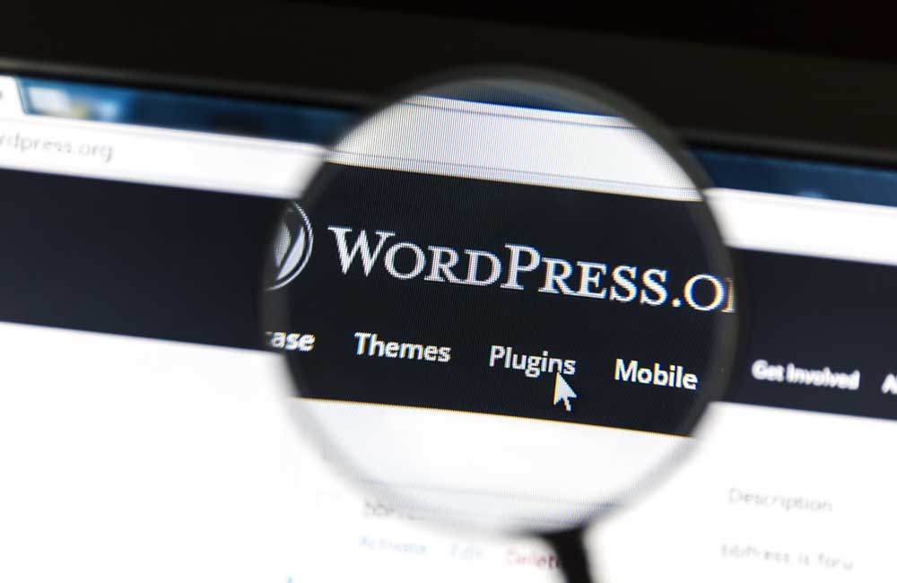 Plugins WordPress Responsive Design