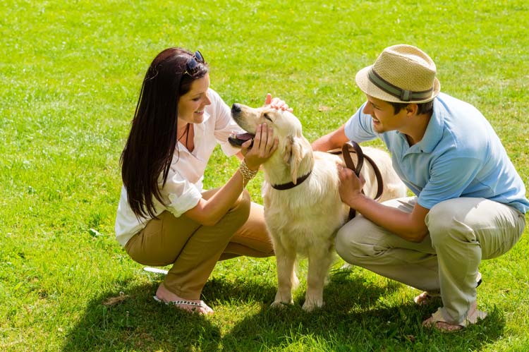 Ejercicio Salud Mascotas