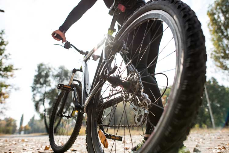 bicicletas híbridas trekking