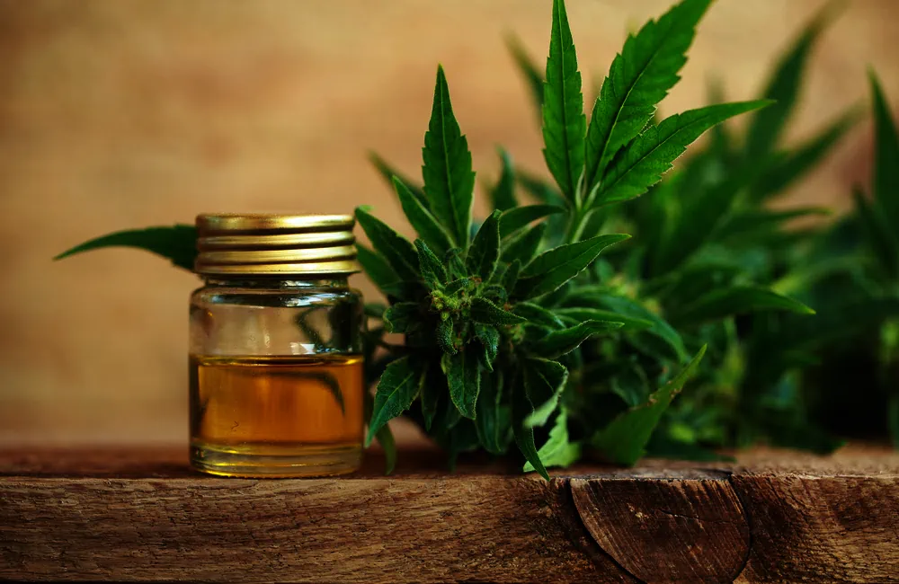 ¿Es legal el CBD en España? Normativa, usos y límites permitidos
