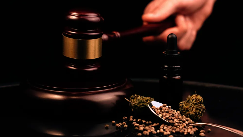 Legalidad CBD España Legalidad CBD España