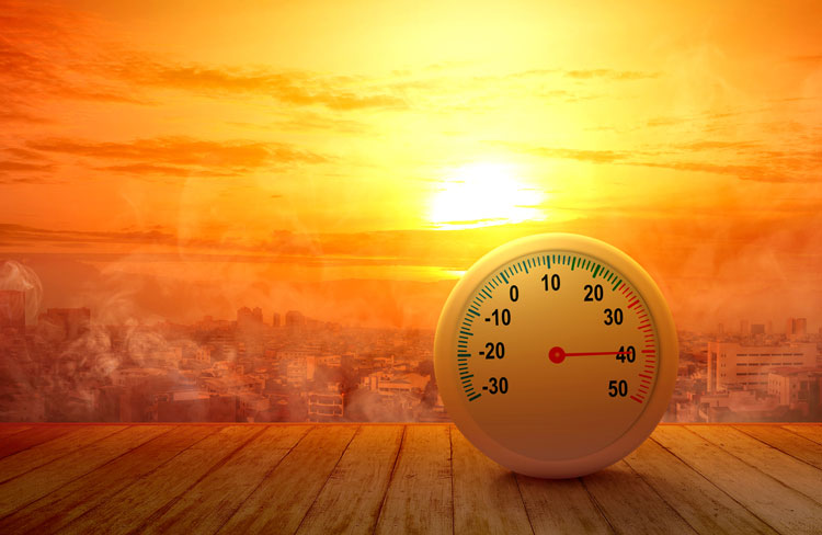 Termometro Herramienta para medir Temperatura