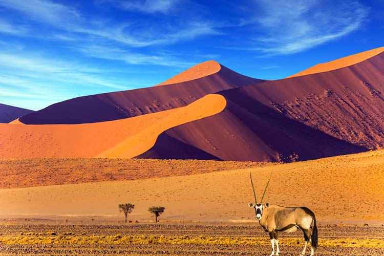 El Namib África