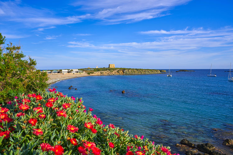 Isla de Tabarca Flora